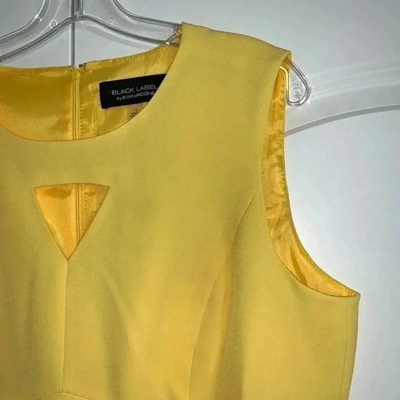 Black Label by Evan-Picone Sleeveless Sheath Dress - Picture 7 of 11